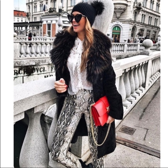 ✨✨🌟High-waisted Snakeskin Jeggings🌟Size 2 4 6 - Picture 1 of 3